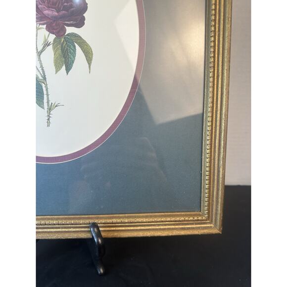 Botanical Framed Picture Classic Decor 13x15 Antique Gold Frame - Picture 4 of 9